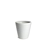 KANEYOSHI 鉢 陶器 7号 20.5cm 植木鉢 白
