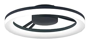 動物画像無料 トップ100 かっこいい シーリング ライト