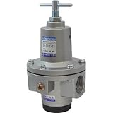 日本精器:日本精器 レギュレータ 20A 中圧用 BN-3R01H1-20 型式:BN-3R01H1-20
