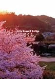 virtual trip ������ nostalgia