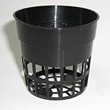 穴鉢　6cm　黒　50個　硬質ポリポット