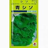 しそ 種 青しそ 小袋（約1dl）