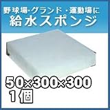 ノーブランド品 給水スポンジ スイトール グランド用品 50×300×300 1個