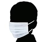 アズワン サニエコマスク 100枚入 /2-8849-01