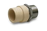 Everflow Supplies SSCPM034-NL 3/4" Lead Free Transition Fitting with a Stainless Steel Male Threaded