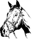 Horse Picture Art - Kids Bed Room - Peel & Stick Sticker - Vinyl Wall Decal - by Design With Vinyl D