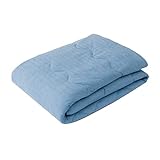 ニトリ 両面使える肌布団 サラモチ n-s シングルサイズ NクールSP ブルー NITORI 7544711