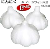 スーパー ホワイト六片 にんにく 球根 種子 L球 1kg ニンニク