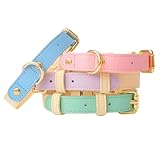 PetGround 犬 首輪 革 中型犬 大型犬 おしゃれ レザー 可愛い パステルカラー 迷子札 軽量 丈夫 耐久性 犬の首輪 (ピンク、L)