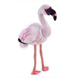 ナショナルジオグラフィック ぬいぐるみ コフラミンゴ 45cm 770760