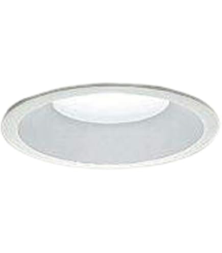 Amazon.co.jp: 大光電機 DAIKO LEDダウンライト 軒下兼用 LED内蔵 COB