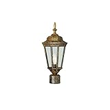 Transglobe Lighting 4096 BG Post Head with Clear Glass Shade, Black Gold Finished [並行輸入品]