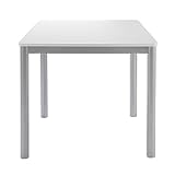 あずま工芸 ルストレ ダイニングテーブル 幅80cm ホワイト TDT-1181