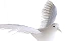 Open Winged人工ホワイトDove Bird with有線フィートの表示、装飾やEmbellishing