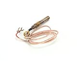 Lang 2j-80504 – 04ガス熱電対cp-2 36long
