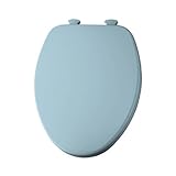 Church 585EC 464 Wood Toilet Seat with Cover, Dresden Blue by Bemis
