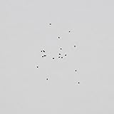 アズテキウム　ヒントニー　種子