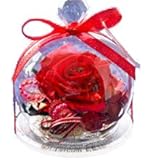 花由 プリザーブドフラワー 12星座 【おひつじ座】 赤 フラワーギフト ブリザードフラワー 誕生日プレゼント 女性 結婚祝い お祝い 花