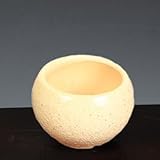 瀬戸焼鉢(白色) 8.0cm