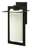 Hinkley 2925BZ-LED Outdoor Colfax Light by Hinkley