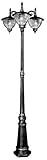 Special Lite Products Vista F-2910-Tri-506-BLK/CR Medium Tri Light Unit, Black [並行輸入品]