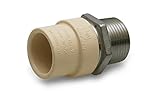 Everflow Supplies sscpm100-nl 1インチ鉛フリー遷移継手とステンレス鋼オスねじand with a CPVC接続