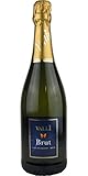 ヴァッリ・ブリュット NV 750ML 泡 (イタリアワイン)(スパークリング)
