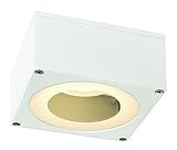 SLV Lighting 2229981U Big Theo Ceiling Out GX53 Outdoor Ceiling Lamp with Satin Shade, White Finish