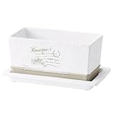 レタープランター ミニ植木鉢 コンテナ型 受皿付き 3号連鉢 ホワイト 白