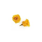 florever　フロールエバー　フレッシュルックベイビーローズ　ゴールデンイエロー　12輪　Φ2.5～3.5cm　 プリザーブドフラワー　Baby Rose　Golden Yellow