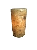 Candle Impressions Realワックス6 " LED FlamelessタンBirch Barkピラー