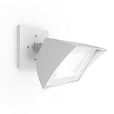 WAC Lighting WP-LED335-30-aWT Contemporary Endurance Flood Light Outdoor/Indoor Wall Pack [並行輸入品]