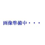 錦鯉池用塗料 黒 16L +うすめ液付