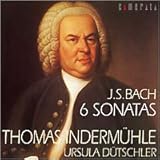 �I�[�{�G�E�\�i�^�W