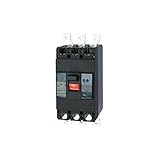 テンパール工業 Eシリーズ 経済タイプ 漏電遮断器 OC付 300A 403EA30W2