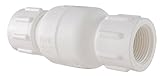 LDR 024 CVT-1 1-Inch PVC Check Valve [並行輸入品]