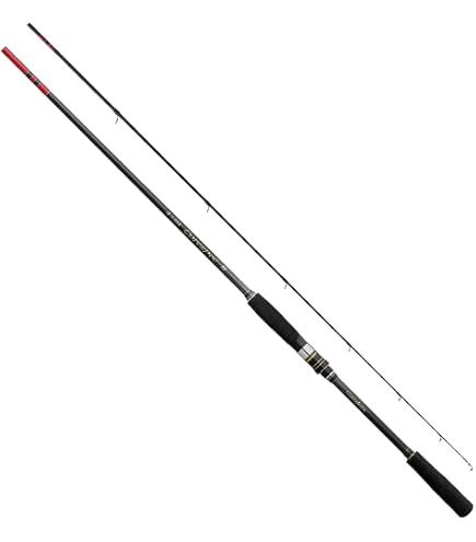 Amazon | がまかつ 海上釣堀 コアスペック2 青物4.0 | Gamakatsu