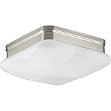 Progress Lighting P3490-09 2-Light Flush Mount with Etched Alabaster Glass Square Diffuser [並行輸入品]