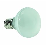 G E LIGHTING #25777 GE 40W R14 Spot Light [並行輸入品]