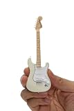 Fender The Best Collection “1968ストラトキャスター&ブラック・トーレックス・ケース" ([バラエティ])