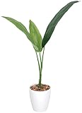 GREEN-m/人工観葉植物 鉢植え 光触媒 トラベラーズパーム110cm 205A10031