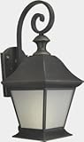Forte Lighting 10001-01-14 Exterior Wall Light with Frosted Seeded Glass Shades, Royal Bronze [並行輸入品