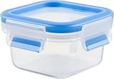 ティファール 保存容器 正方形 200ml 密閉 パッキン一体構造 「マスターシール フレッシュ MW スクエア」 30年保証 N10146