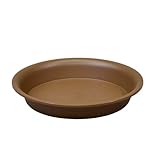 アップルウェアー 陶鉢皿 9号 きん茶