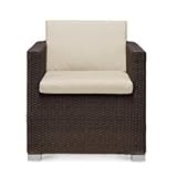 TOEX　カルシィラタンD10　【ガーデンチェア】 ジャワブラウン