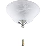 Progress Lighting P2612-09 2-Light Kit with Alabaster Style Glass Bowl and Universal Light Kit, Brus