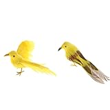Baosity 非常　現実的　人工フェザー　森林　鳥　家　装飾　撮影　小道具　全7色　　　　 - コンボ1