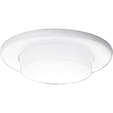 High Quality P8009-60 Drop Opal Shower For Insulated Ceilings Wet Location Listed Non-Metallic Flang