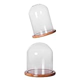 SunniMix お買い得！　花器　花瓶　透明　ガラスカバー　観葉植物　花　装飾　風景　ギフト　2個入り　