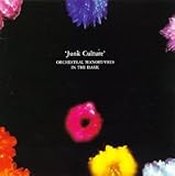 Junk Culture